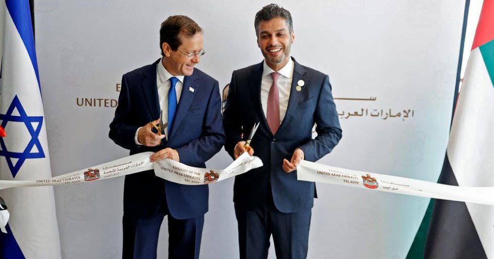 INSAF24-2021-2-666666645--