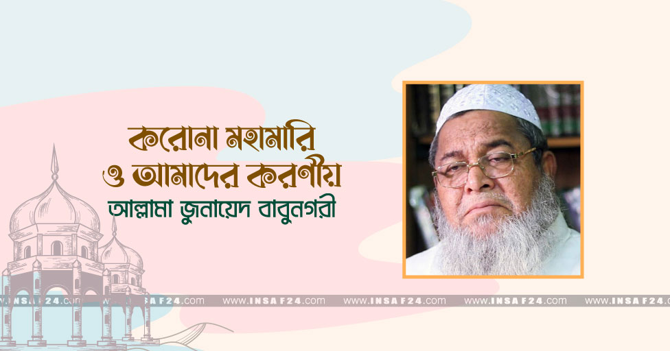 INSAF24-2021-3--654645689