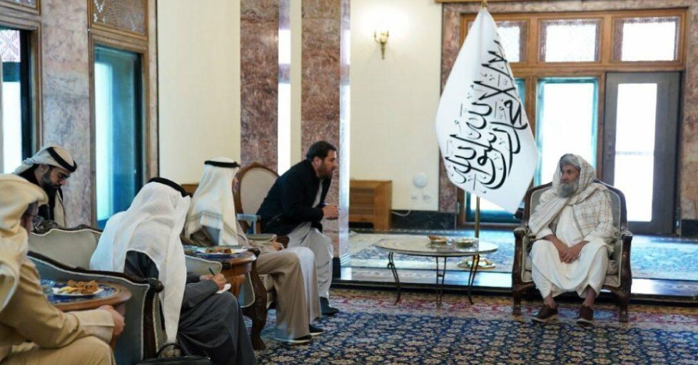 INSAF24-2021-4-08089089