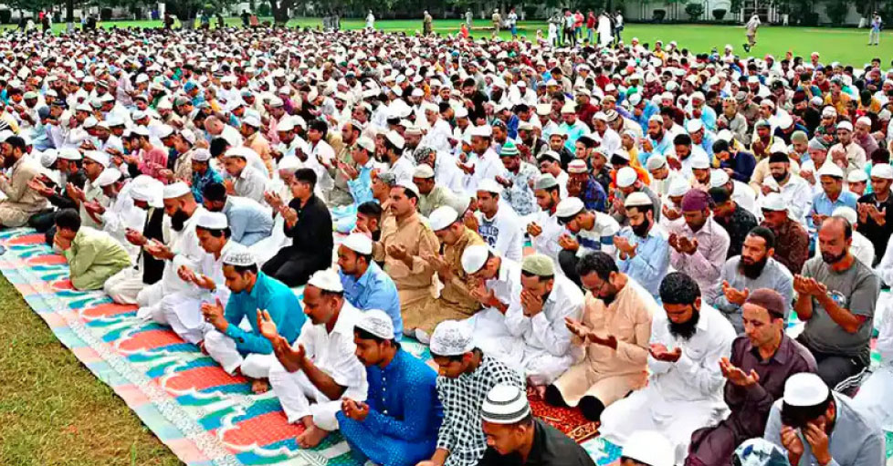 INSAF24-2021-4-7878687