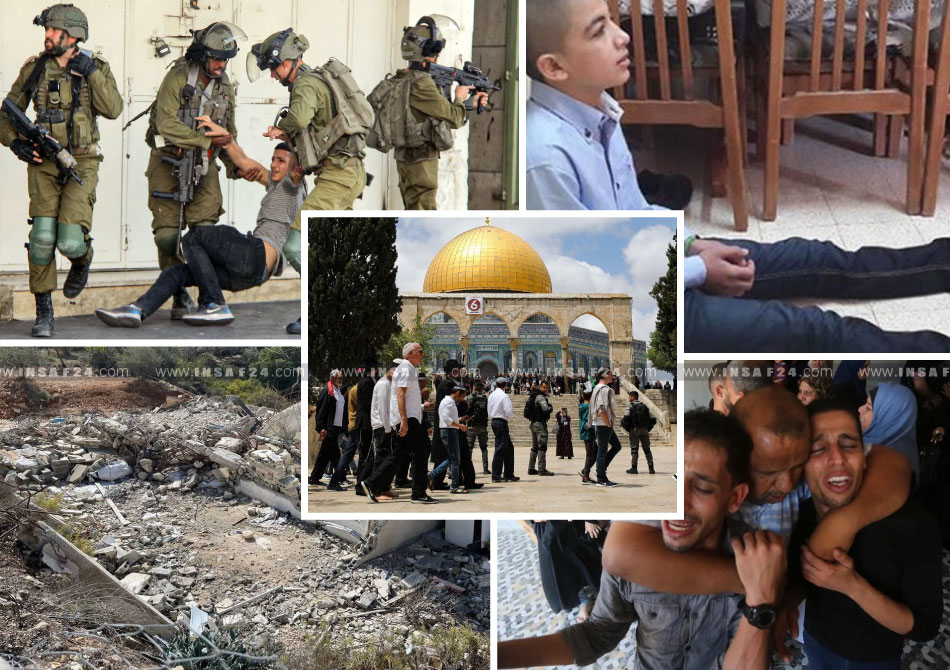 INSAF24-2022-8678673