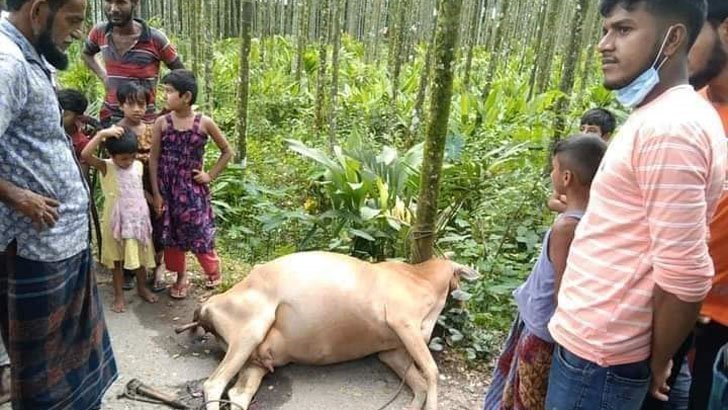 image-436967-1624912206