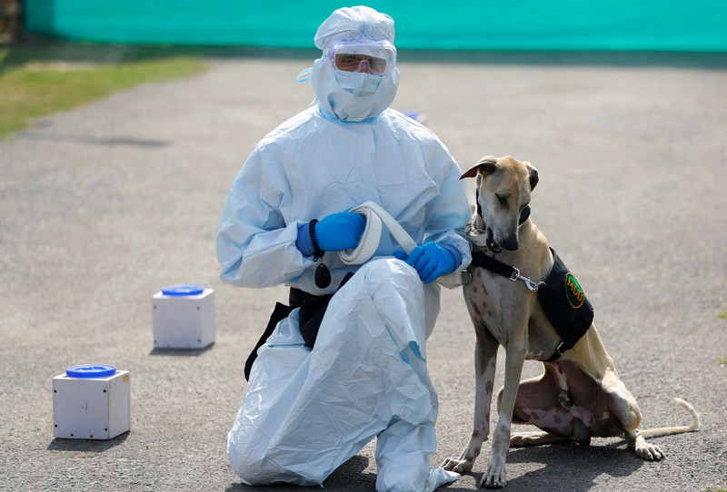 insaf24.net-15-01-2022-1