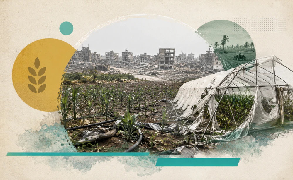 palestine agriculture