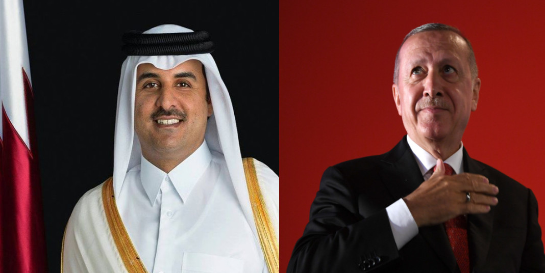 এরদোগান ও তামিম