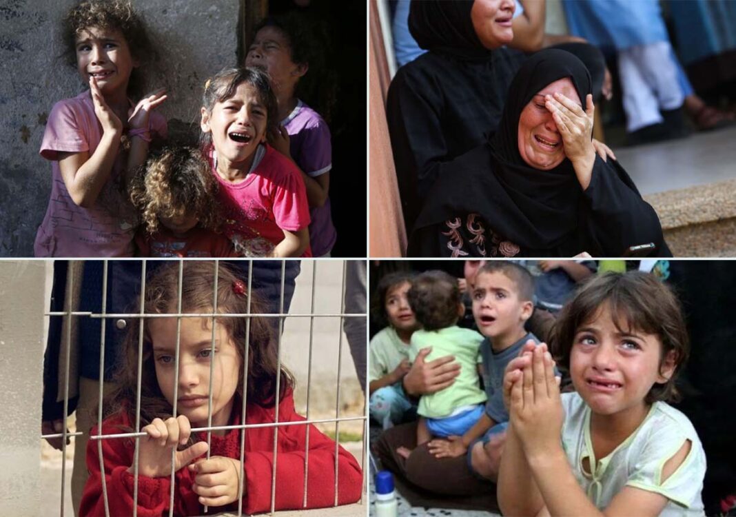 ফিলিস্তিন গাজ্জা